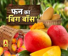 आम के शौकीनों के लिए Special Show।