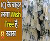 ICJ के बाहर लगा ये Wish Tree है खास, इसी कोर्ट में कुलभूषण पर सुनवाई होनी है