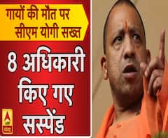 गायों की मौत पर सीएम योगी सख्त, 8 अधिकारियों को किया गया सस्पेंड 