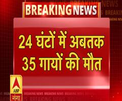 प्रयागराज में 24 घंटों में अबतक 35 गायों की मौत ABP Ganga