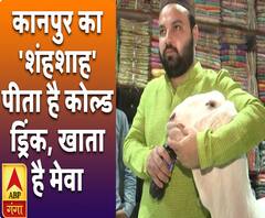 कानपुर का 'शंहशाह': पीता है कोल्ड ड्रिंक, खाता है मेवा 