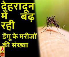 देहरादून में बढ़ रही डेंगू के मरीजों की संख्या 