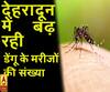 देहरादून में बढ़ रही डेंगू के मरीजों की संख्या