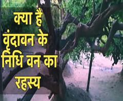 क्या है वृंदावन के निधी वन का रहस्य ?