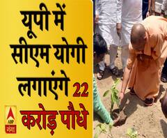 यूपी में मुख्यमंत्री लगाएंगे 22 करोड़ पौधे 