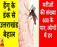 डेंगू के डंक से उत्तराखंड बेहाल, मरीजों की संख्या 600 के पार; लोगों में डर 