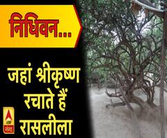 निधिवन...जहां श्रीकृष्ण रचाते हैं रासलीला 