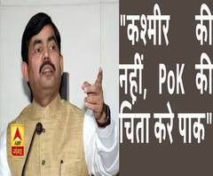 कश्मीर की नहीं, PoK की चिंता करे पाक : शाहनवाज हुसैन