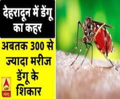 देहरादून में डेंगू का कहर, अबतक 300 से ज्यादा मरीज डेंगू के शिकार 