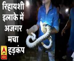 रिहायशी इलाके में घुसा अजगर, मचा हड़कंप | Dehradun | ABP Ganga