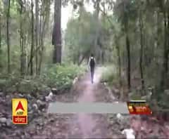 जानिए घने जंगल के बीच कॉर्बेट में कहां है यह शिवालय