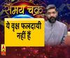Kaam Ki Baat: घर और ऑफिस के पास भूलकर ना लगाएं ये वृक्ष