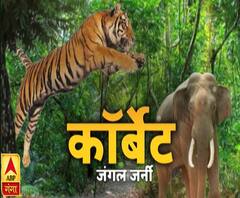 कॉर्बेट जंगल जर्नी | Corbett Jungle Journey | ABP Ganga