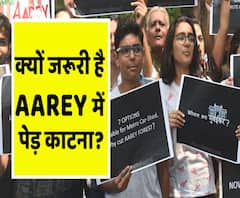 क्यों मेट्रो के लिए काटने होंगे AAREY में पेड़? | ABP Uncut Explainer
