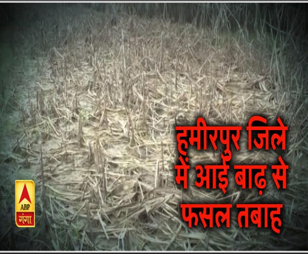 ABP News ABP News