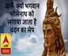 जानें- क्यों भगवान भोलेनाथ को लगाया जाता है चंदन का लेप, क्या है इसका धार्मिक महत्व