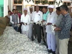 કમોસમી વરસાદથી પાટણના ખેડૂત બરબાદ, જુઓ વીડિયો