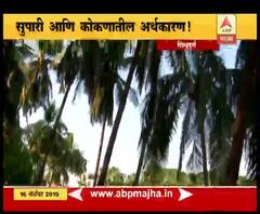 Ecofriendly Product | पर्यावरणपुरक व्यवसायातून रोजगाराच्या संधी | सिंधुदुर्ग | ABP Majha