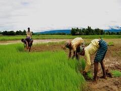 વલસાડઃ સોનવાડા ગામના ખેડૂતોને ખેતરોમાં જવાનો રસ્તો બંધ થતાં મુશ્કેલી, જુઓ વીડિયો