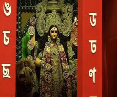 Reporter Stories: বিদ্যাসাগরের পাড়ায় জগদ্ধাত্রী পুজো 