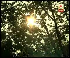 অগ্রহায়ণের শুরুতেই একলাফে দু’ডিগ্রি নামল তাপমাত্রা, কলকাতার জোরাল হল শীতের আমেজ, তবে এখনই শীত পড়ছে না, জানিয়েছে আবহাওয়া দফতর