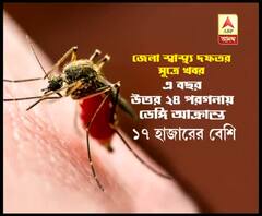 বরানগরে ডেঙ্গি সচেতনতা প্রচার ঘিরে তৃণমূল-বিজেপি তরজা