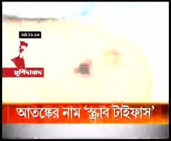 ছড়াচ্ছে ‘স্ক্রাব টাইফাস’ আতঙ্ক, উপসর্গের দিক থেকে ডেঙ্গির সঙ্গে মিল, ধন্দে চিকিৎসকরা