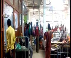 Reporter Stories: উত্তর ২৪ পরগনায় ভয়াবহ পরিস্থিতি ডেঙ্গির, আক্রান্তের সংখ্যা ছাড়িয়েছে ১৬ হাজার, উল্লেখ স্বাস্থ্য দফতরের রিপোর্টে