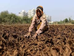 મારું ગામ, મારી વાતઃ સાણંદના કોલટ ગામના ખેડૂતો સાથે તેમની સમસ્યા મુદ્દે ખાસ વાત