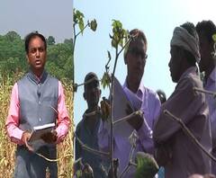 EXPLAINER VIDEO | नुकसानग्रस्त शेतकऱ्यांना किती आणि कधी मदत मिळते? मदतीचे नियम काय आहेत? | ABP Majha 