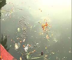 Reporter Stories: পরিবেশ আদালতকে বুড়ো আঙুল দেখিয়ে রবীন্দ্র সরোবরে ছটপুজো