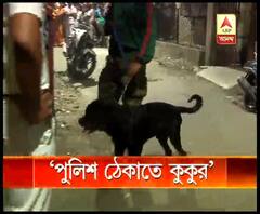 ট্যাংরায় মাদক কারবারীর ফ্ল্যাটে পুলিশকে আটকাতে কুকুর ছেড়ে দেওয়ার অভিযোগ, রক্তাক্ত পুলিশকর্মী