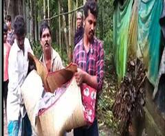 ঘূর্ণিঝড় ‘বুলবুল’: গাছ ভেঙে পড়ায় পূর্ব মেদিনীপুর ও উত্তর ২৪ পরগনায় মৃত ২