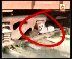 দেখুন, নিউ আলিপুর স্টেশনে ট্রেনের তলায় পড়েও কী করে প্রাণে বাঁচলেন মহিলা