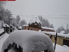 Ladakh, Kinnaur receive fresh snowfall, temperature falls 