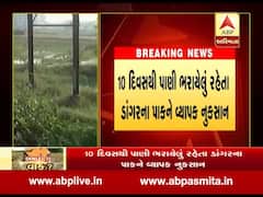 અમદાવાદ લાંભાઃ કેમિકલયુક્ત પાણી તળાવમાં ઠલવાયુ, તળાવ ઓવરફ્લૉ થતાં ગંદુ પાણી ખેતરોમાં ઘૂસ્યુ, જુઓ વીડિયો