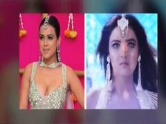 Know who will be the male lead in serial 'Naagin 4'