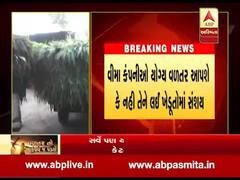 ગુજરાતમાં વીમા કંપનીઓના તરકટને કારણે ખેડૂતો લાચાર, જુઓ વીડિયો