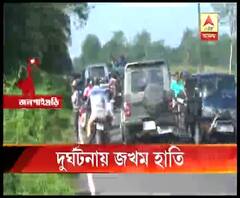 কার্শিয়ঙে গাড়ির ধাক্কায় জখম শাবক-সহ হাতি, গ্রেফতার ৩ 