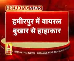 हमीरपुर में वायरल बुखार से हाहाकार