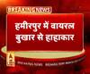 हमीरपुर में वायरल बुखार से हाहाकार