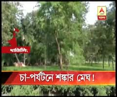চা বাগানে রাজ্যের পর্যটনশিল্পের অনুমোদনে শঙ্কার মেঘ দেখছে চা শ্রমিক সংগঠনগুলি