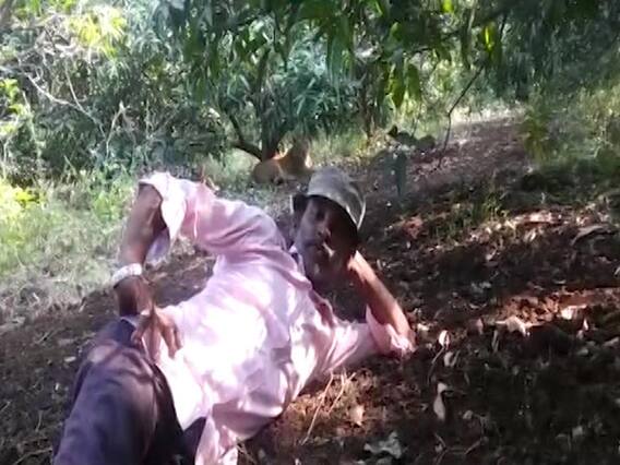 An eccentric person takes selfie with hungry Lion in Gir Forest | Sansani