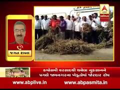 જામનગરમાં કમોસમી વરસાદથી પાકને નુકસાન, ખેડૂતોએ નોંધાવ્યો વિરોધ, જુઓ વીડિયો