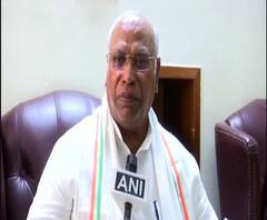 Mallikarjun Kharge | मल्लिकार्जुन खर्गेंची गडकरी-पटेल भेटीवर प्रतिक्रिया | नवी दिल्ली | ABP Majha