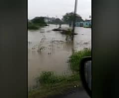 Solapur | माळशिरसच्या पिलीव गावात मोठ्या प्रमाणात पाणी, सांगली, सातारा, अकलूजकडे जाणारे रस्ते जलमय | ABP Majha 