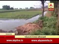 બોટાદમાં કેનાલ ઓવરફ્લો થતાં ખેતરોમાં ફરી વળ્યું પાણી, જુઓ વીડિયો