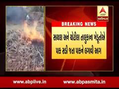 સુરેન્દ્રનગર: પાક નિષ્ફળ જતા ખેડૂતોએ પાકને લગાવી દીધી આગ, જુઓ વીડિયો 