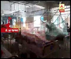 উত্তর ২৪ পরগনায় ডেঙ্গি-পরিস্থিতি উদ্বেগজনক