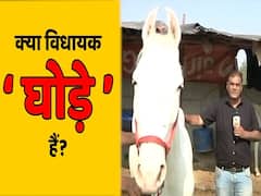 Horse Trading की पूरी कहानी...क्या विधायक 'घोड़े' हैं ?